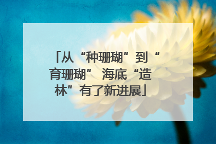 从“种珊瑚”到“育珊瑚” 海底“造林”有了新进展