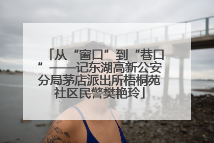 从“窗口”到“巷口”——记东湖高新公安分局茅店派出所梧桐苑社区民警樊艳玲