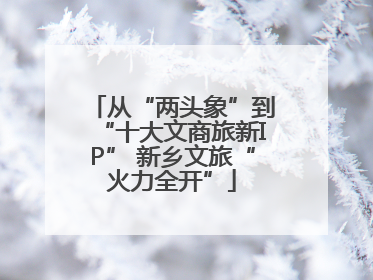 从“两头象”到“十大文商旅新IP” 新乡文旅“火力全开”