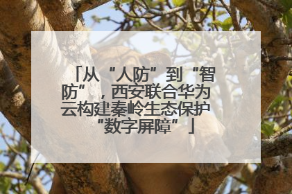 从“人防”到“智防”，西安联合华为云构建秦岭生态保护“数字屏障”