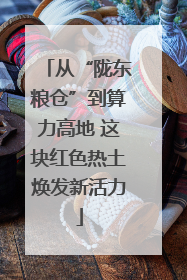 从“陇东粮仓”到算力高地 这块红色热土焕发新活力