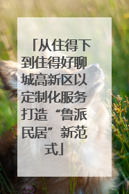 从住得下到住得好聊城高新区以定制化服务打造“鲁派民居”新范式