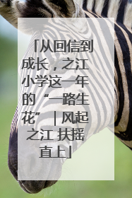 从回信到成长，之江小学这一年的“一路生花”｜风起之江 扶摇直上