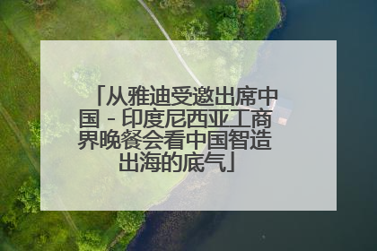 从雅迪受邀出席中国－印度尼西亚工商界晚餐会看中国智造出海的底气