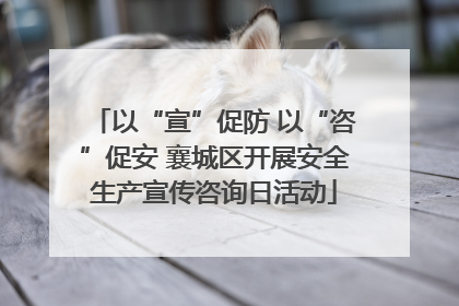 以“宣”促防 以“咨”促安 襄城区开展安全生产宣传咨询日活动