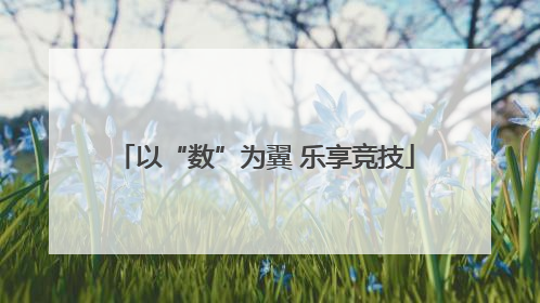 以“数”为翼 乐享竞技