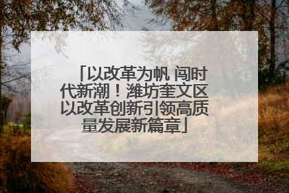以改革为帆 闯时代新潮！潍坊奎文区以改革创新引领高质量发展新篇章