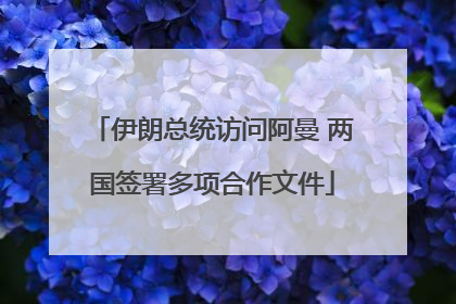 伊朗总统访问阿曼 两国签署多项合作文件