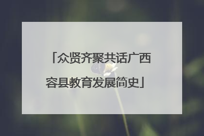 众贤齐聚共话广西容县教育发展简史