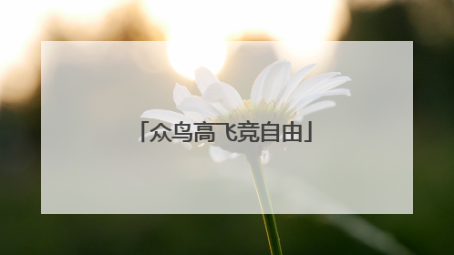 众鸟高飞竞自由