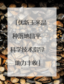 优新玉米品种落地昌平 科学技术指导助力丰收