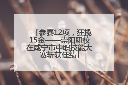 参赛12项，狂揽15金——崇阳职校在咸宁市中职技能大赛斩获佳绩