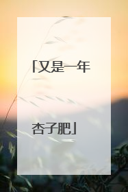 又是一年杏子肥