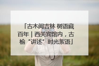 古木阅吉林 树语藏百年｜西关宾馆内，古榆“讲述”时光絮语