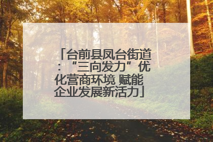 台前县凤台街道：“三向发力”优化营商环境 赋能企业发展新活力