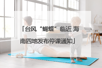 台风“蝴蝶”临近 海南四地发布停课通知