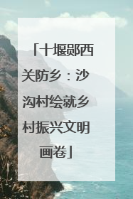 十堰郧西关防乡：沙沟村绘就乡村振兴文明画卷