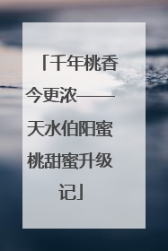 千年桃香今更浓——天水伯阳蜜桃甜蜜升级记