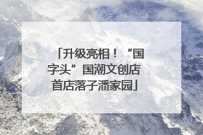 升级亮相！“国字头”国潮文创店首店落子潘家园