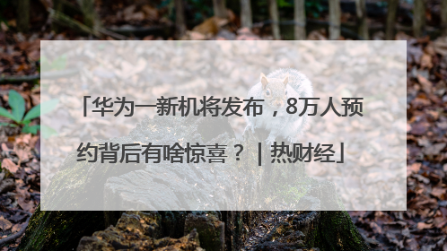 华为一新机将发布，8万人预约背后有啥惊喜？｜热财经