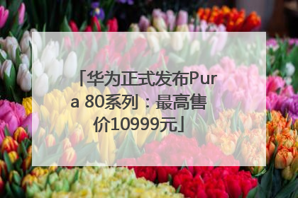 华为正式发布Pura 80系列：最高售价10999元