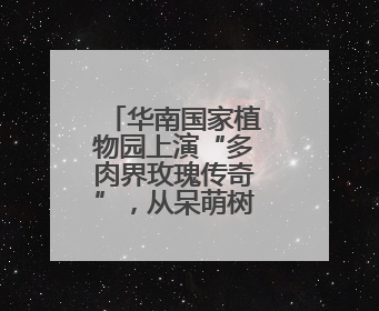 华南国家植物园上演“多肉界玫瑰传奇”，从呆萌树干到炸裂种子全是戏！