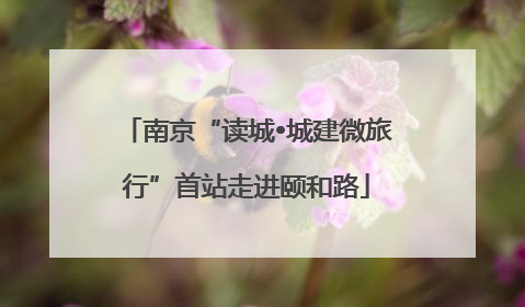 南京“读城•城建微旅行”首站走进颐和路