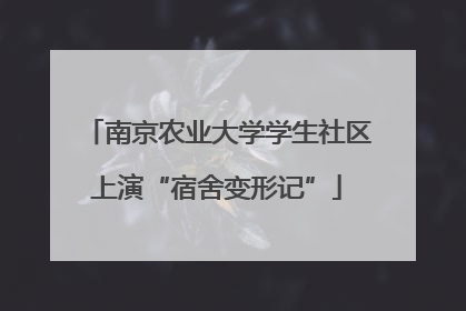 南京农业大学学生社区上演“宿舍变形记”