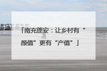 南充蓬安：让乡村有“颜值”更有“产值”