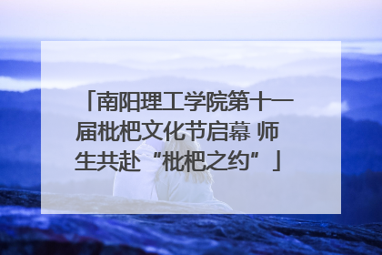 南阳理工学院第十一届枇杷文化节启幕 师生共赴“枇杷之约”