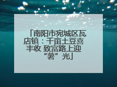 南阳市宛城区瓦店镇：千亩土豆喜丰收 致富路上迎“薯”光