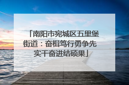 南阳市宛城区五里堡街道：奋楫笃行勇争先 实干奋进结硕果