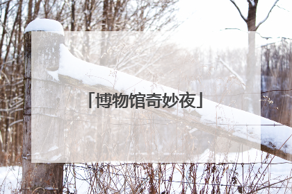 博物馆奇妙夜