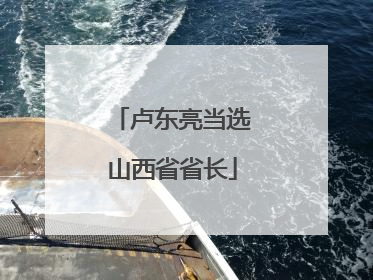 卢东亮当选山西省省长