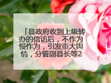 县政府收到上级转办的信访后，不作为慢作为，引发重大舆情，分管副县长等25人被处理