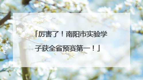 厉害了！南阳市实验学子获全省预赛第一！