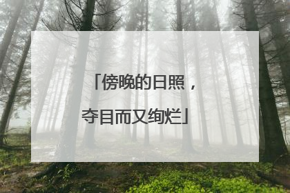 傍晚的日照，夺目而又绚烂