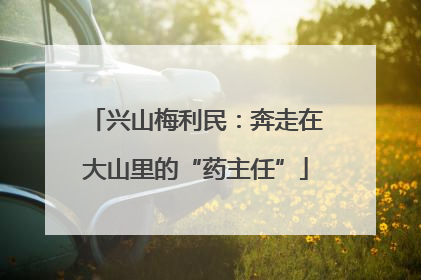 兴山梅利民：奔走在大山里的“药主任”