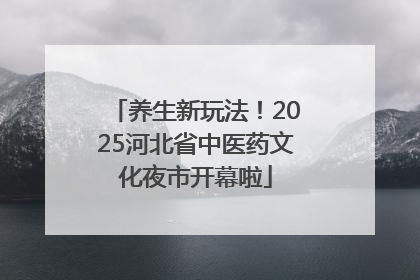 养生新玩法！2025河北省中医药文化夜市开幕啦