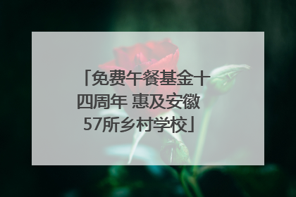 免费午餐基金十四周年 惠及安徽57所乡村学校