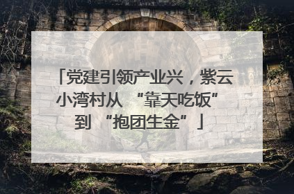 党建引领产业兴，紫云小湾村从 “靠天吃饭” 到 “抱团生金”