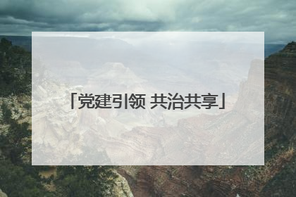 党建引领 共治共享