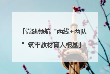 党建领航“两线+两队”筑牢教材育人根基
