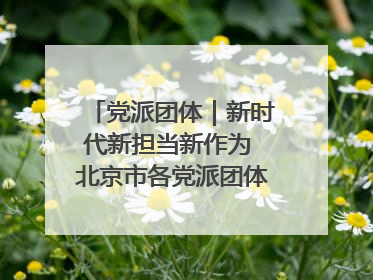 党派团体｜新时代新担当新作为 北京市各党派团体这么干！