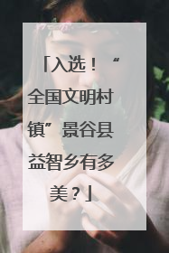 入选！“全国文明村镇”景谷县益智乡有多美？