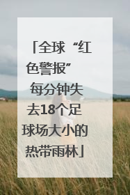全球“红色警报”  每分钟失去18个足球场大小的热带雨林