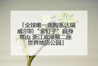 全球唯一奥陶系达瑞威尔阶“金钉子”藏身常山 浙江或添第二座世界地质公园