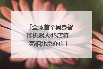全球首个具身智能机器人4S店将亮相北京亦庄