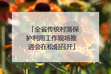 全省传统村落保护利用工作现场推进会在松阳召开