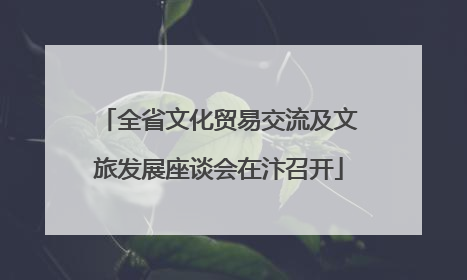 全省文化贸易交流及文旅发展座谈会在汴召开